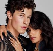 Camila Cabello and shawn mendes